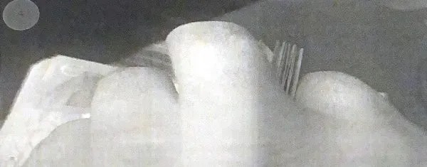 CHP'li Şile Belediyesi'ndeki rüşvet trafiği plakaya takıld! Euro dolu çanta görüntüleri ortaya çıktı
